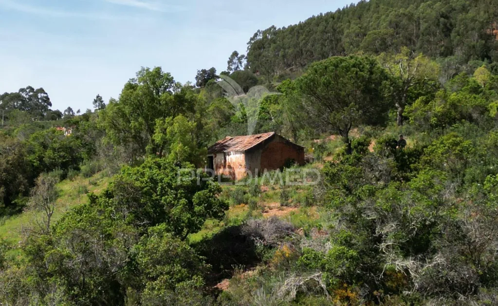 Välivaade - Rustic Quinta with Ruin in Alentejo