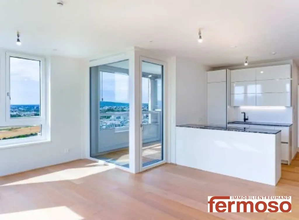 Köök - Luxury Penthouse with Rooftop Pool in Donaustadt