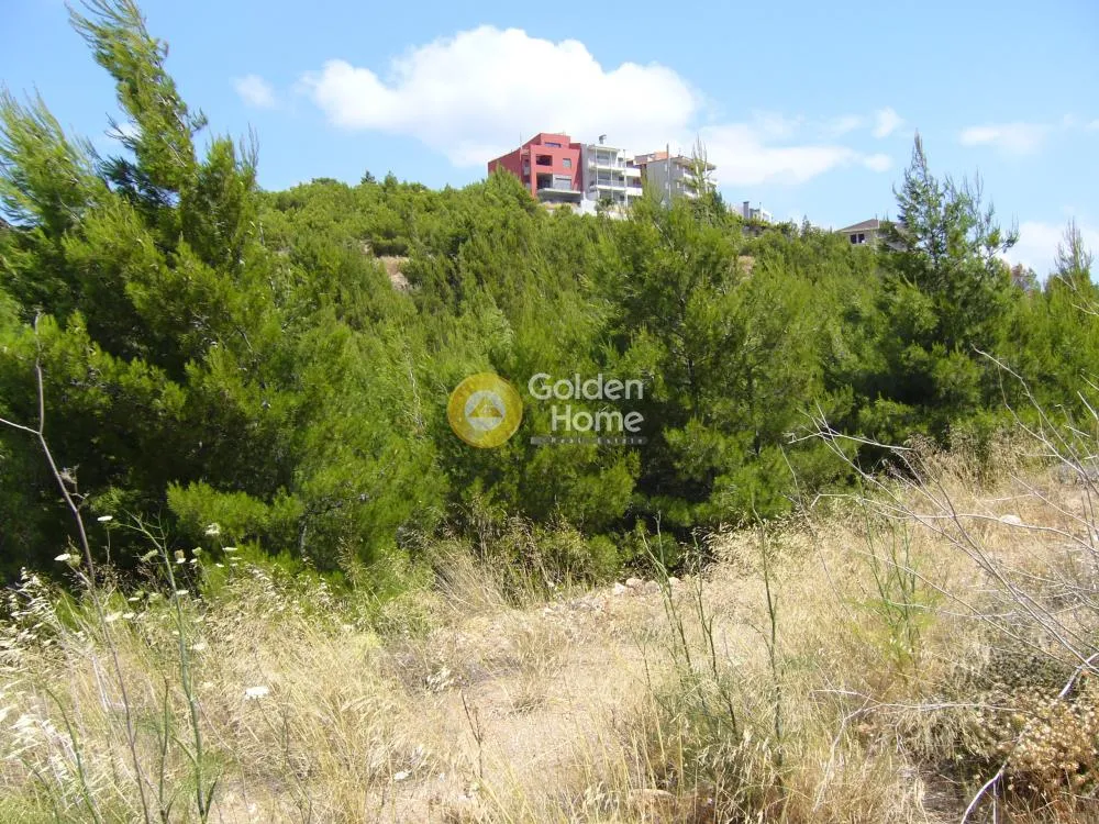 Jardin - Corner Plot House with Sea View in Diony