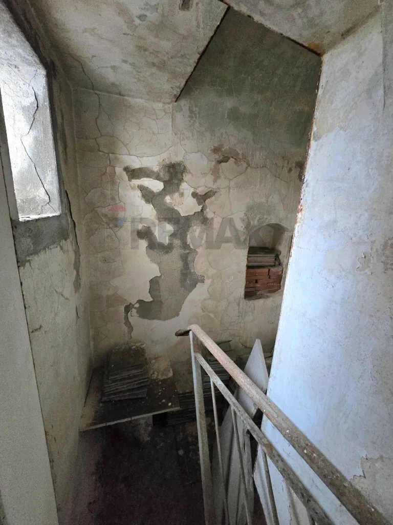 Toad - Ground Floor Apartment with Terrace in Salandra