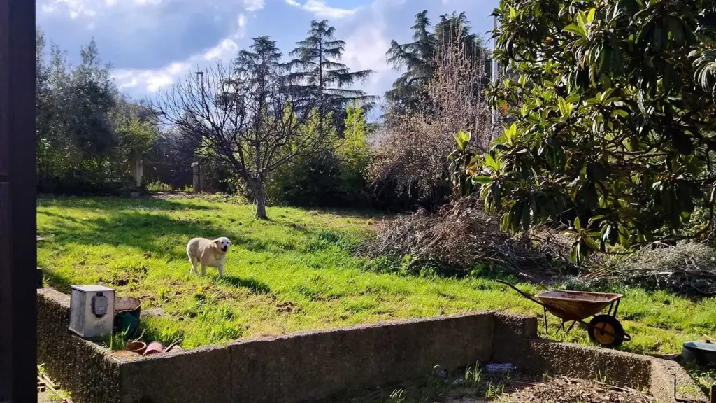 Aed - Detached Villa with Private Garden in Rende