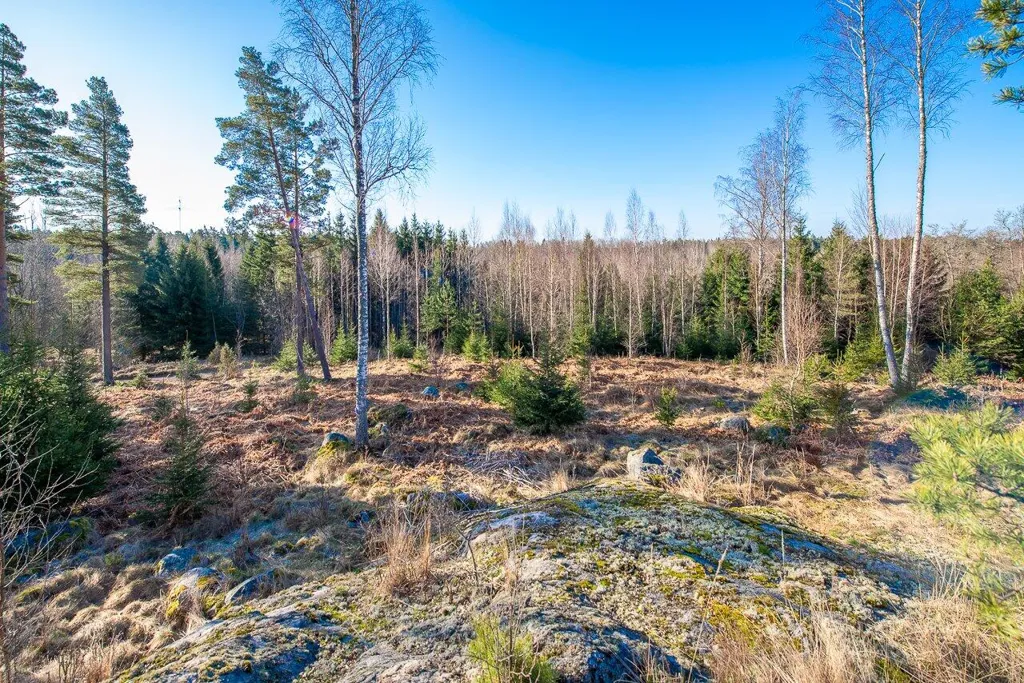 Garten - Forest Plot with Lakeside Access in Raasepori
