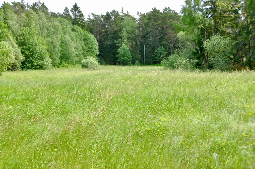 Garden - Waterfront Plot with Meadow on Ingmarsö