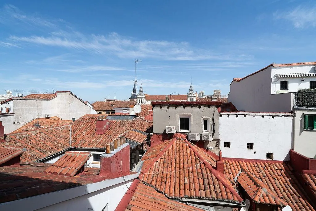 Terrace - Furnished Flat with Historic Charm in Madrid
