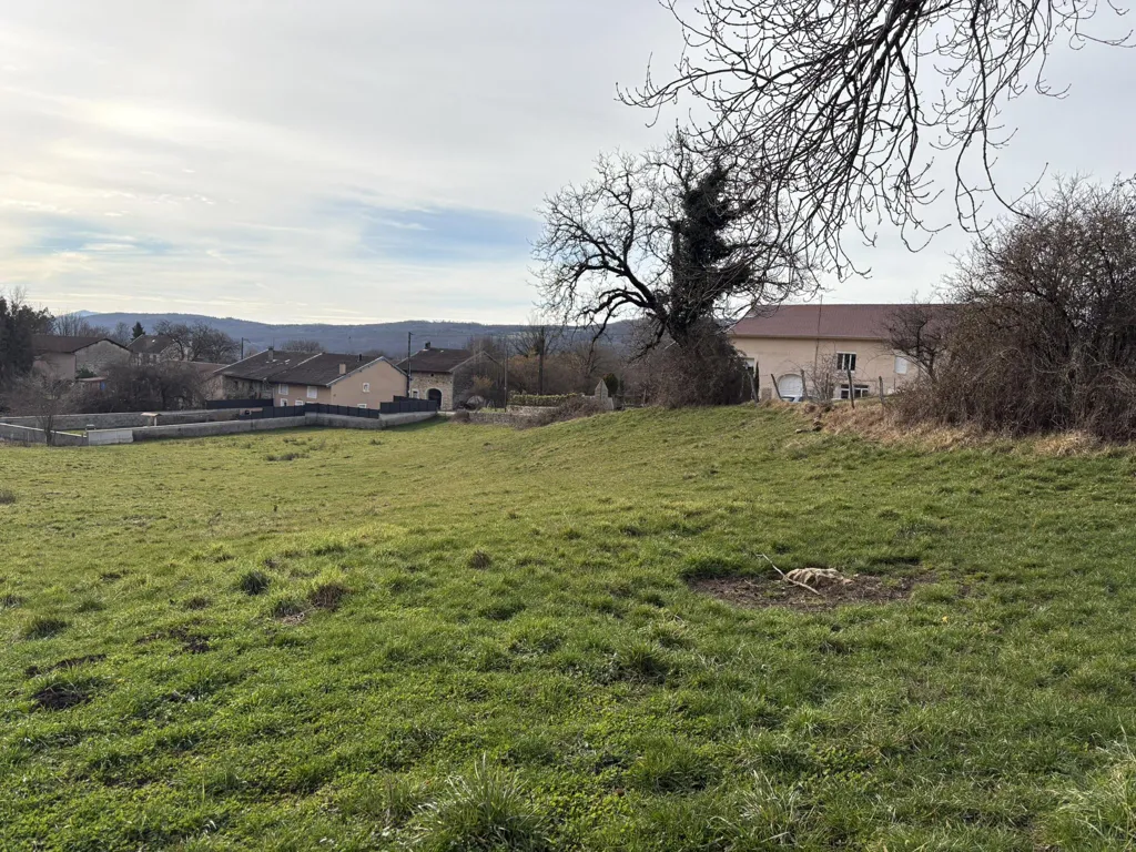 Jardin - Terrain Constructible avec Parcelle Agricole à Cornod