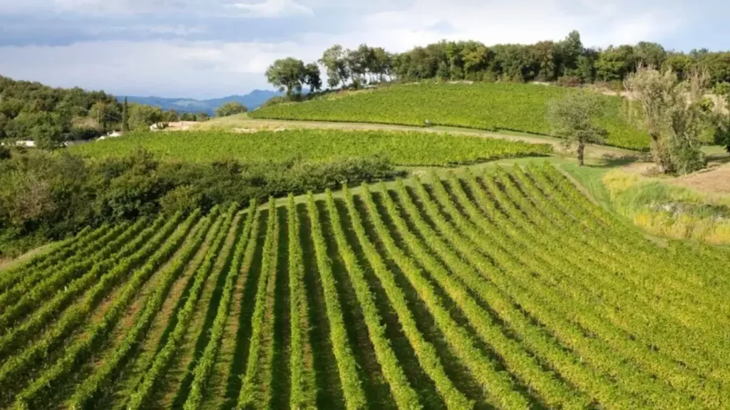 Historic Rustico with Garden in Solferino
