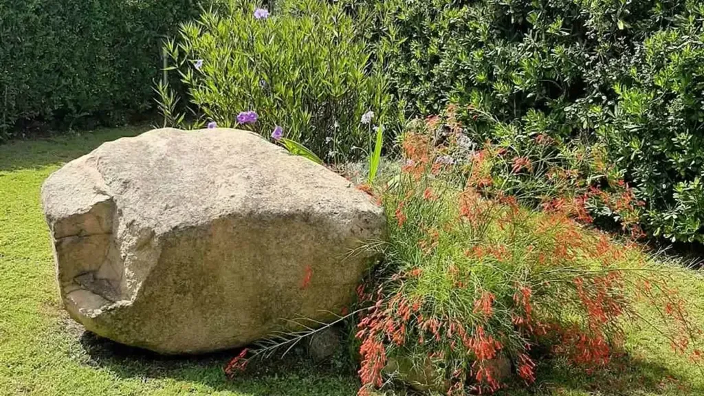 Garden - Rustic Apartment with Private Garden in Pula