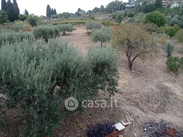 Jardin - Rustic Farmhouse with Land in San Cataldo