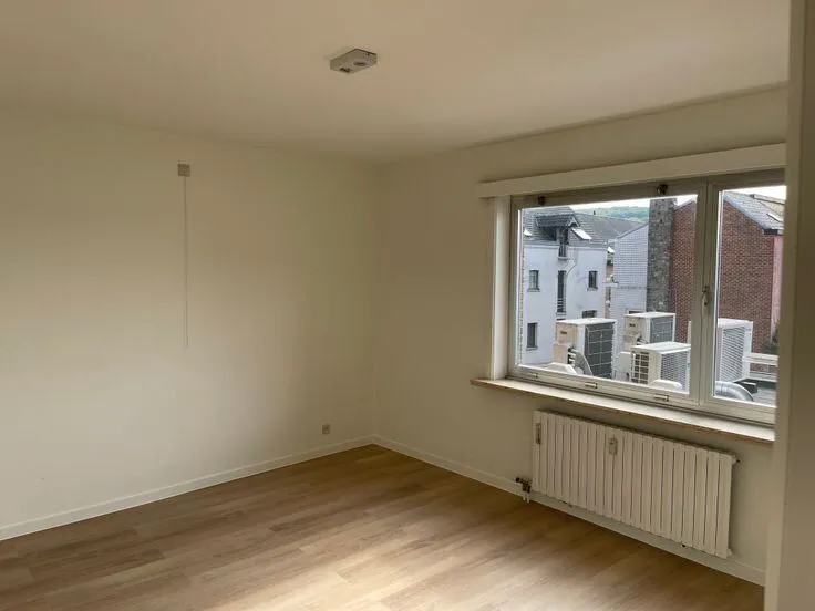 Rooms - Renovated Flat with Fireplace in Brakel