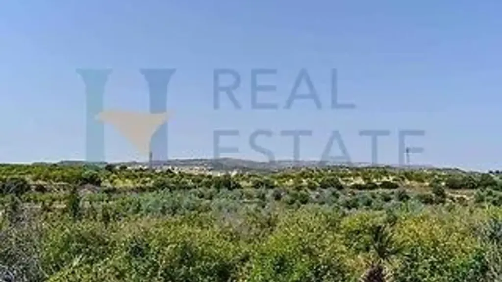 Jardin - Villa with Lemon Grove near Noto