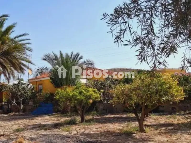 Jardin - Chalet with Pool in Villafranqueza