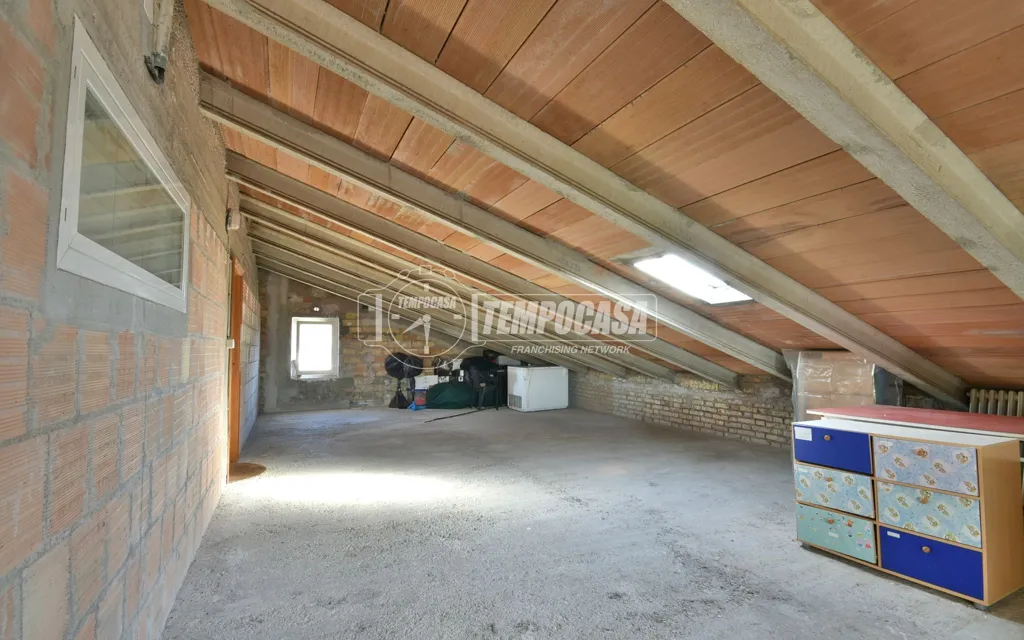 Toad - Renovated Flat with Balconies in Osimo