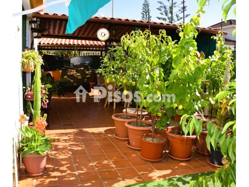 Terrass - Chalet with Sea View in El Portil
