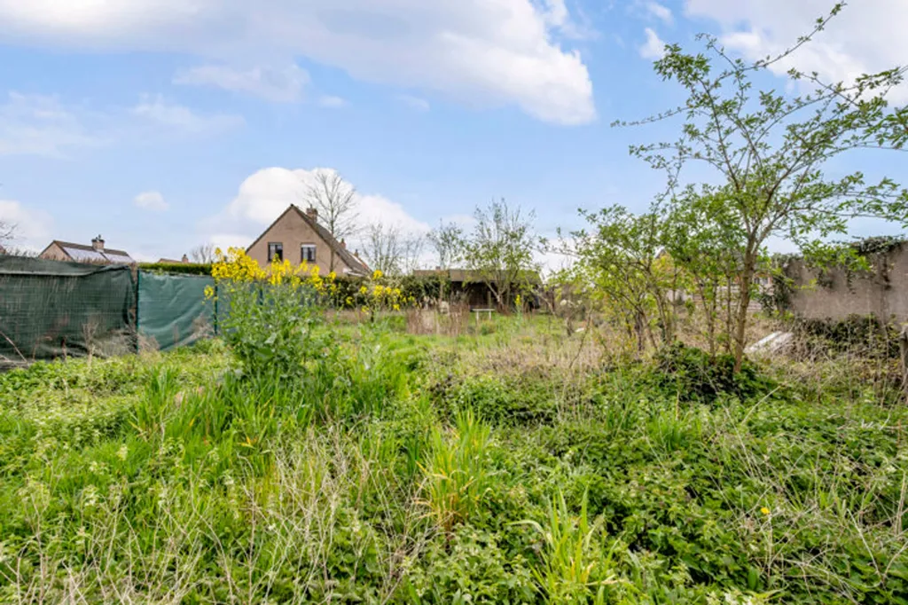 Jardin - Immeuble de Rendement avec Appartements et Local Commercial à Overmere