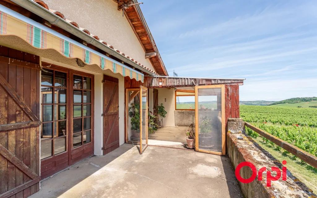 Terrass - Renovated House with Panoramic View in L'Arbresle