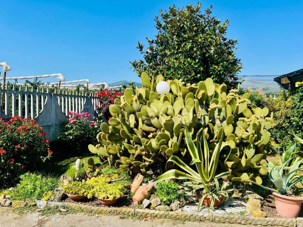 Jardin - Villa with Private Garden in Costigliole Saluzzo