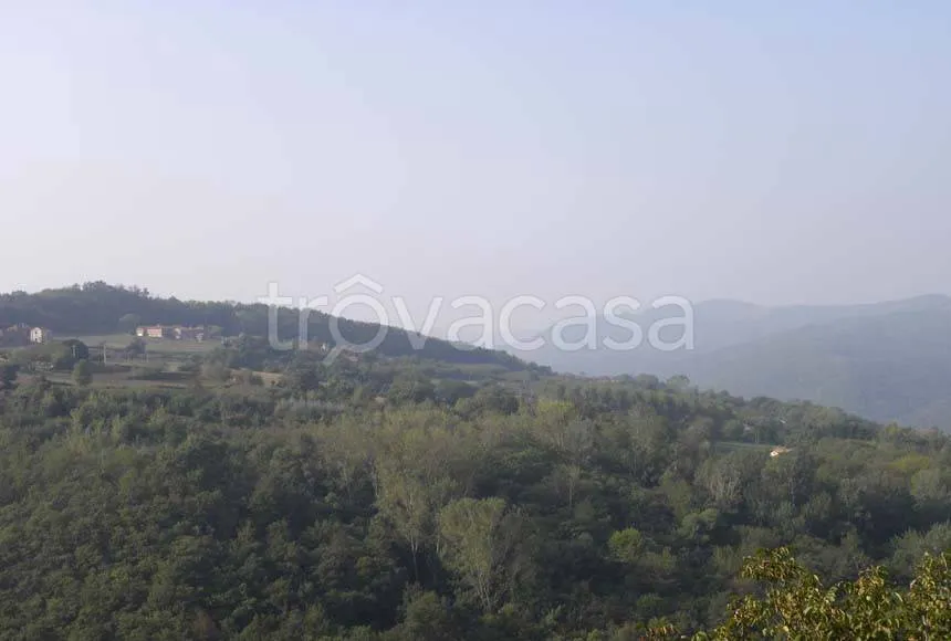 Traditional Langhe Rustico with Panoramic Terrace in Cortemilia