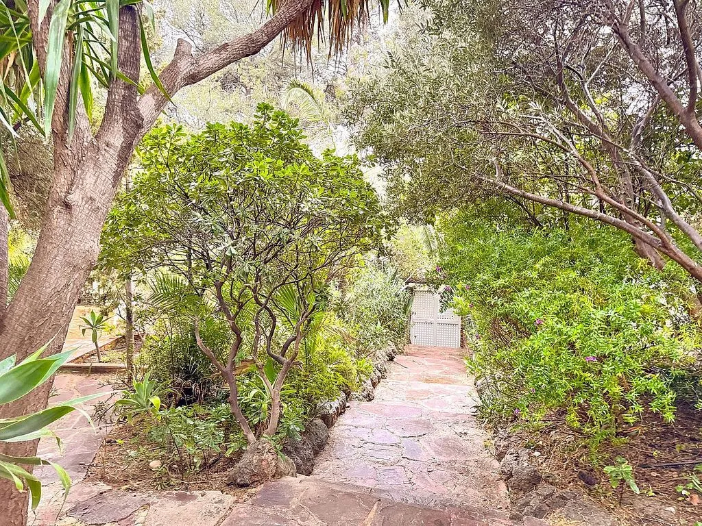 garden