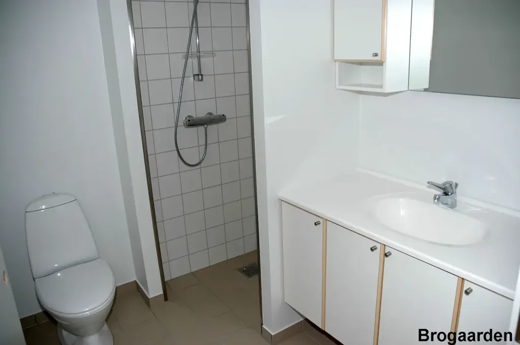 Vannitoad - Three-bedroom Flat in Blokhus