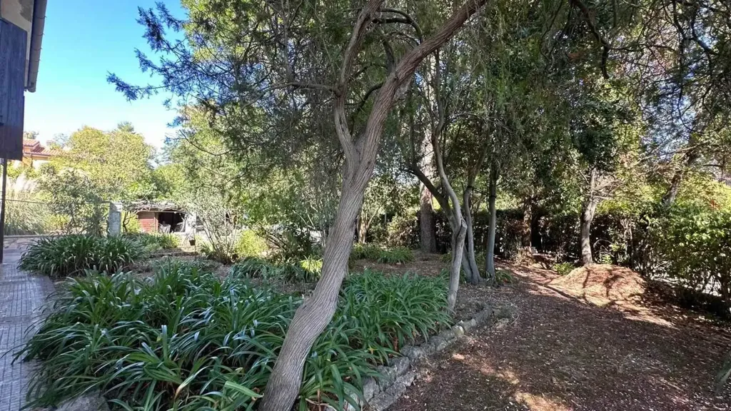 Jardin - Historic Villa with Garden in Ancona