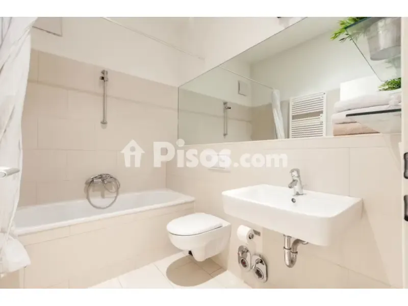 Vannitoad - Sunny Apartment with Balcony in Centro-Catedral