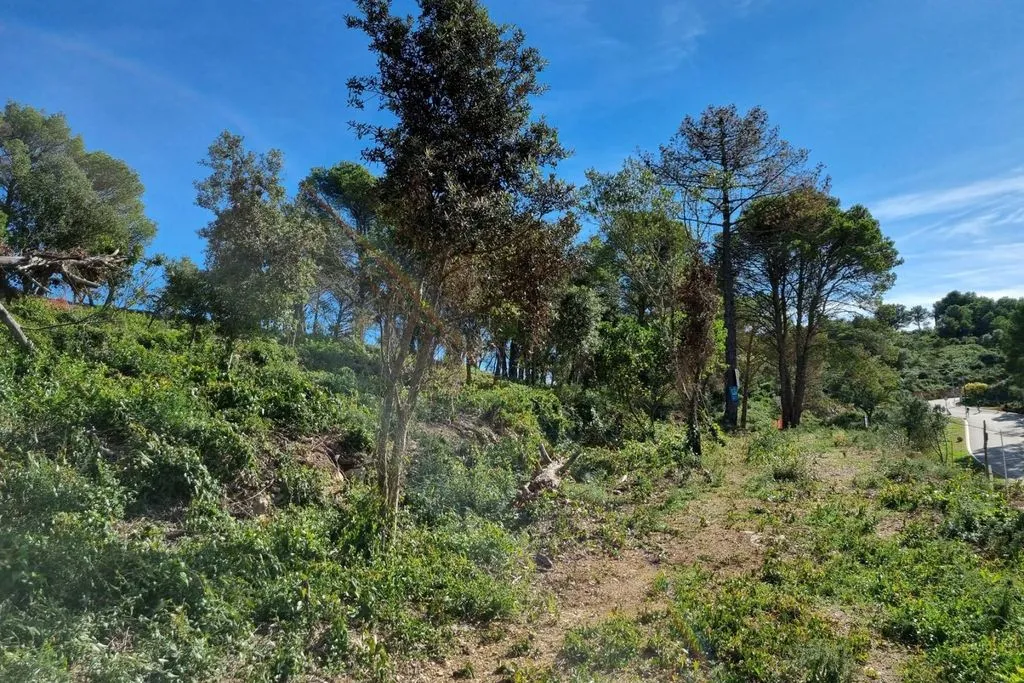 Jardin - Development Land with Mountain Views in Begur