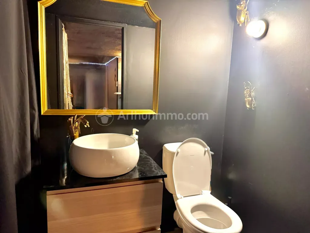 Salles de bain - Appartement 1 Pièce Réhabilité à Chamalières