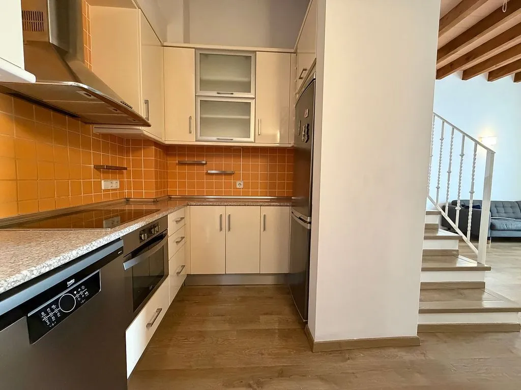 Cuisine - Duplex with Terrace in La Llotja - Sant Jaume
