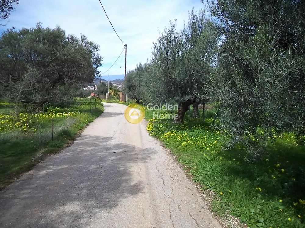 Jardin - Acreage with Sea View in Akrotiri