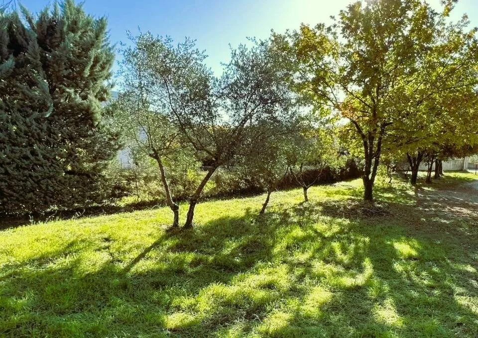 Jardin - Terrain Plat avec Viabilisations à Brignoles