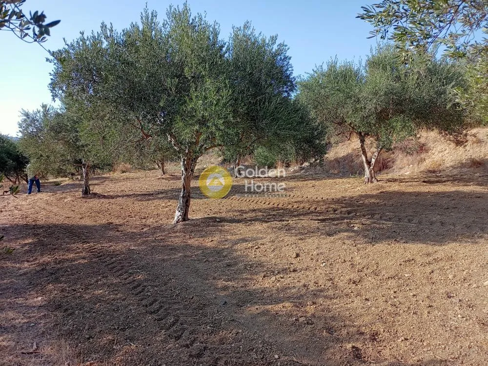 Terrain à GR