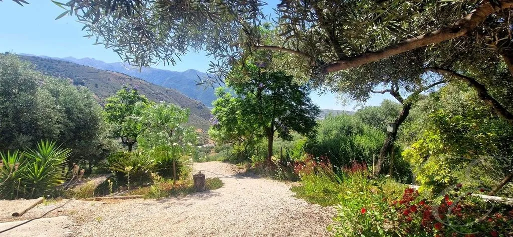 Garden - Detached Country House with Pool in Alcaucín