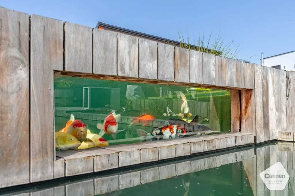Bassein - Modern Bungalow with Pool in Zedelgem
