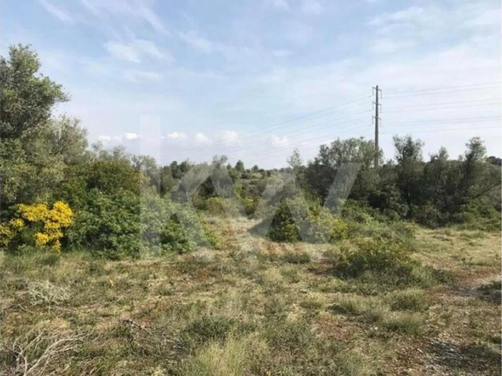 Aed - Rustic Land with Mountain Views in Sintra