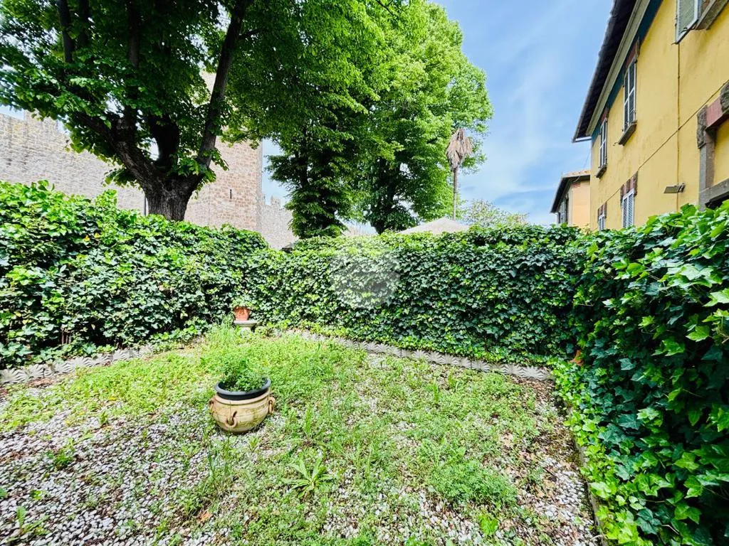 Jardin - Rear-Facing Apartment with Garden in Viterbo