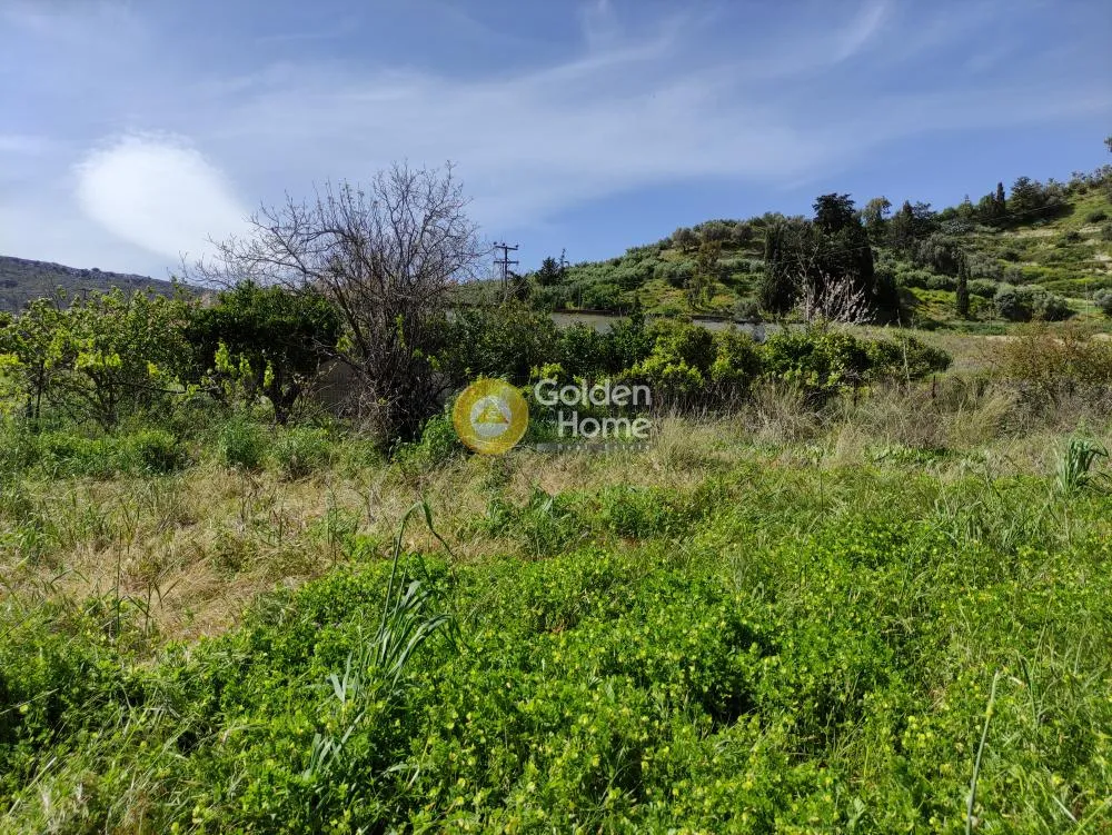 Aed - Buildable Plot with Mountain View in Kerasia