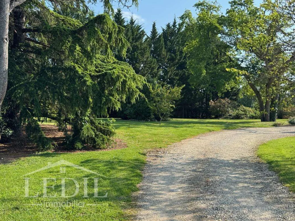 Välivaade - Charming Home with Pool in Gers