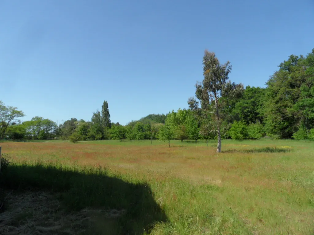 Jardin - Ferme avec grange et grand terrain à Saint-Martin-d'Abbat