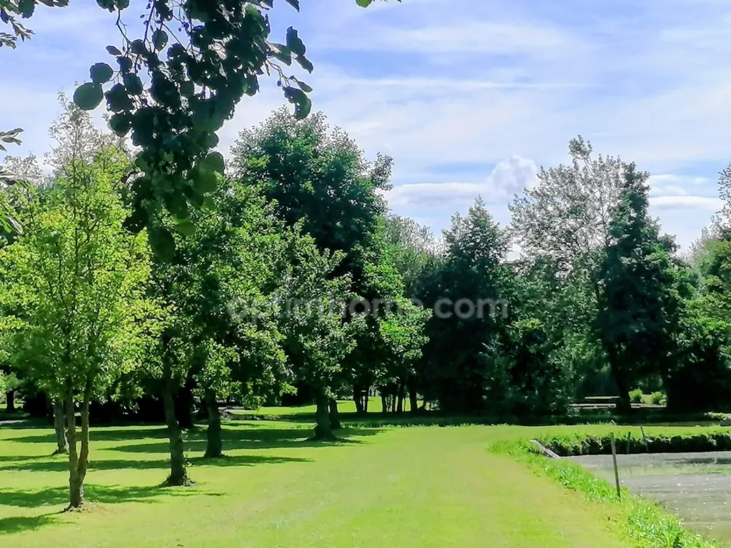garden