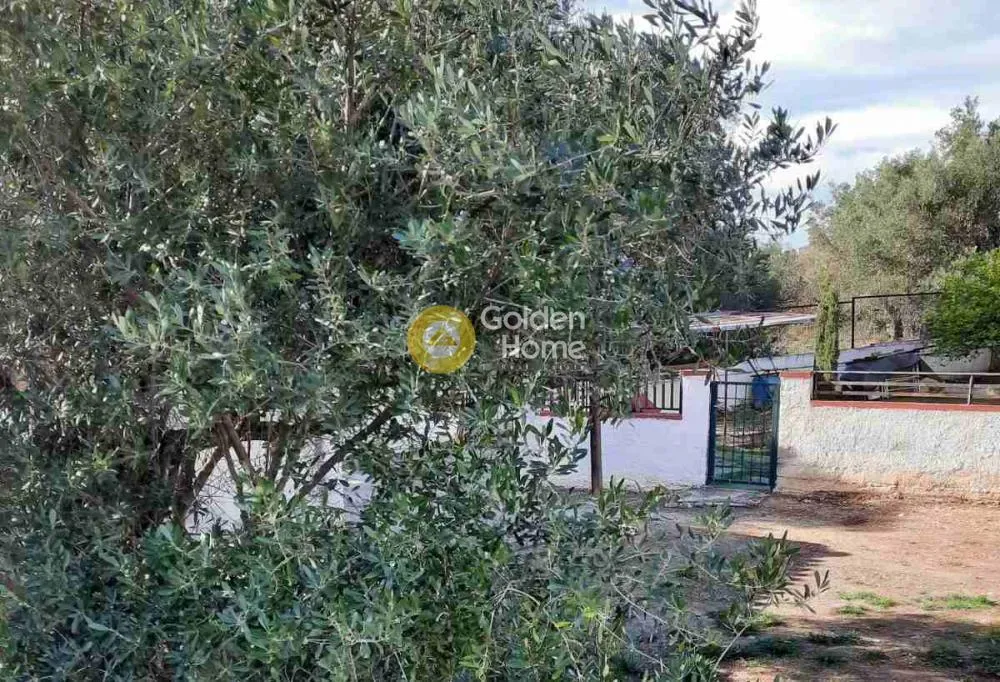 Aed - Buildable Plot with Unrestricted View in Nea Peramos