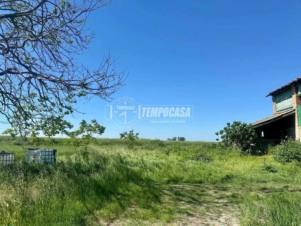 Jardin - Rustic Property to Renovate in Crevalcore