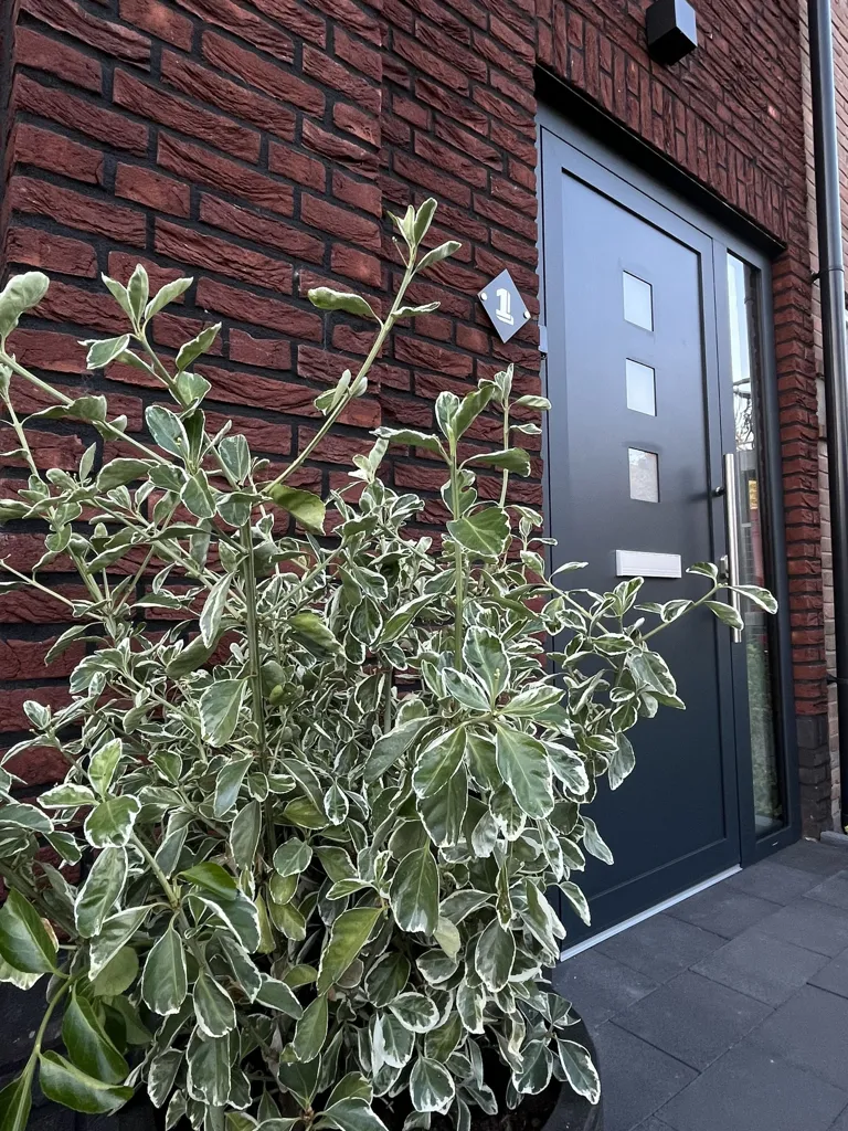 Välivaade - Modern House with Office Space in Ameide