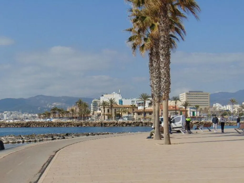 Penthouse with Sea View in El Molinar