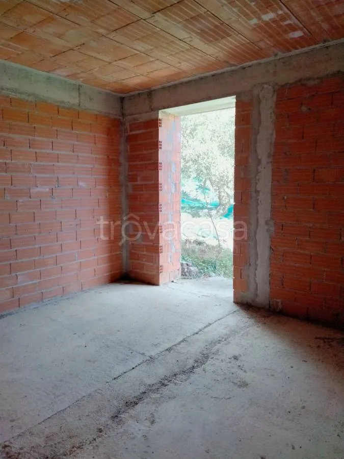 Toad - Rustic Villa with Olive Grove in Diano San Pietro