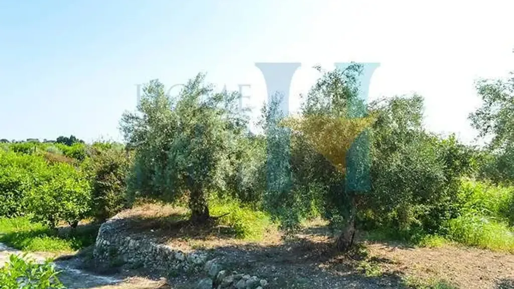 Aed - Warehouse with Lemon Grove near Avola