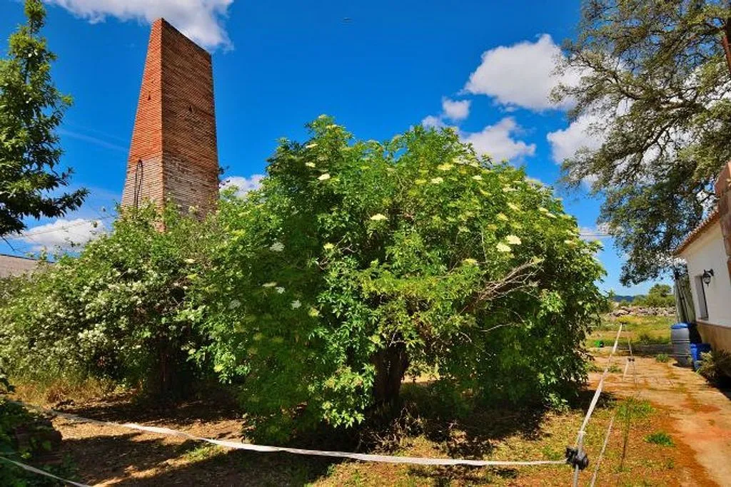 Garden - Rustic Finca with Garden near Ronda