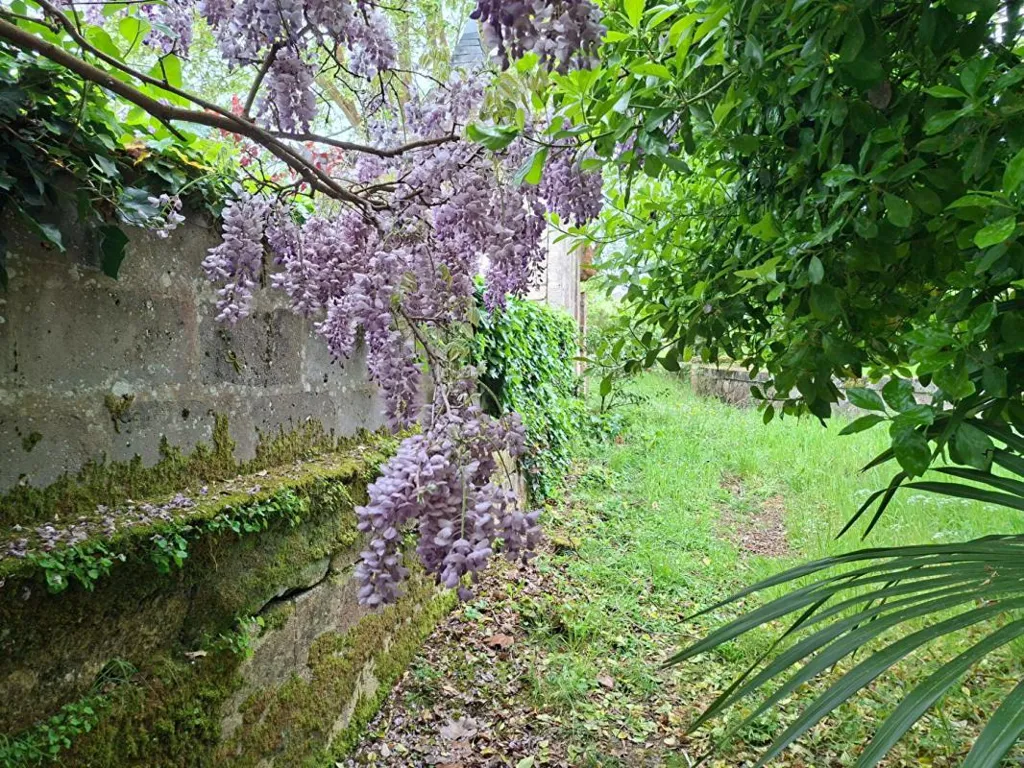 Aed - Charming Stone House with Garden in Pauillac