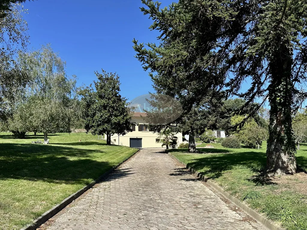 Esterno - Bright Villa with Pool in Quiet Location
