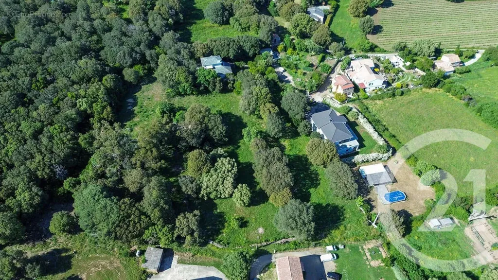 Vista aerea - Constructible Land with Sea View in Rogliano