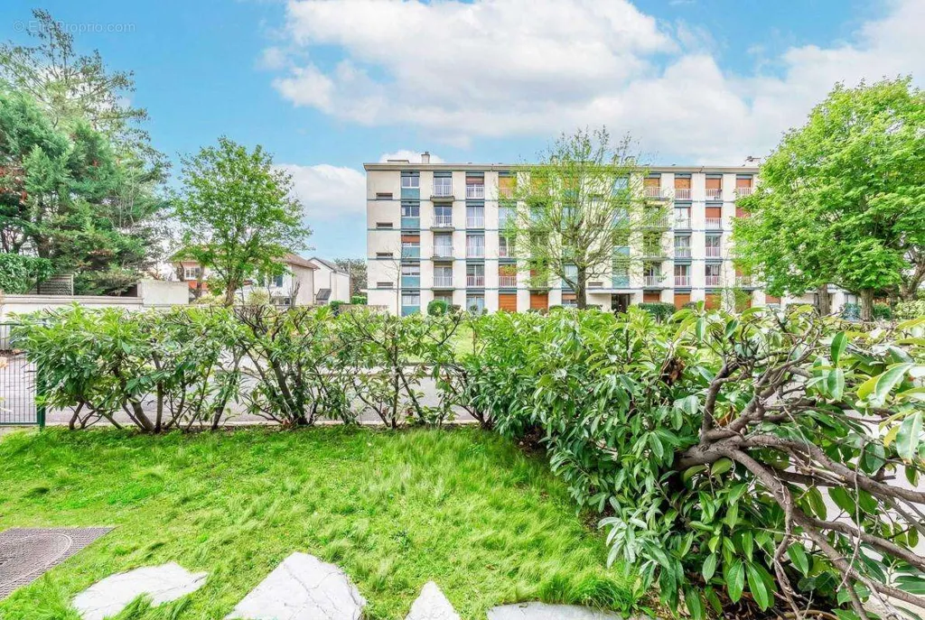 Jardin - Appartement avec Jardin au Calme à Saint-Louis